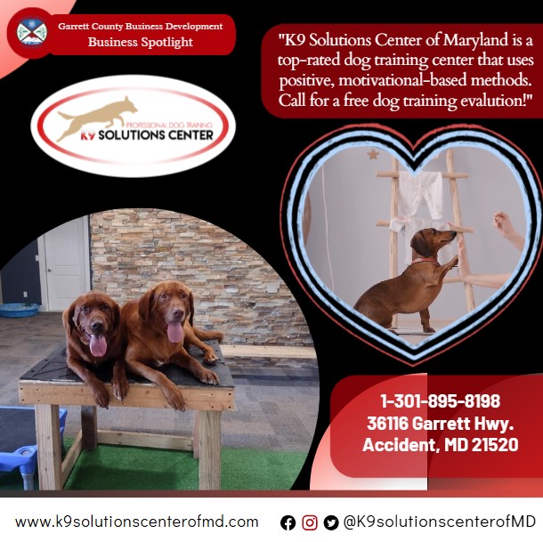 Today's Business Spotlight 🐕‍🦺is on K-9 Solutions Center! 
Visit them at www.k9solutionscenterofmd.com or K9 Solutions Center of MD
Follow us to see more daily Garrett County Business Spotlights! 
If you are interested in having your business featured contact Connor Norman at cnorman@garrettcountymd.gov. #BusinessDevelopment #garrettcountymd